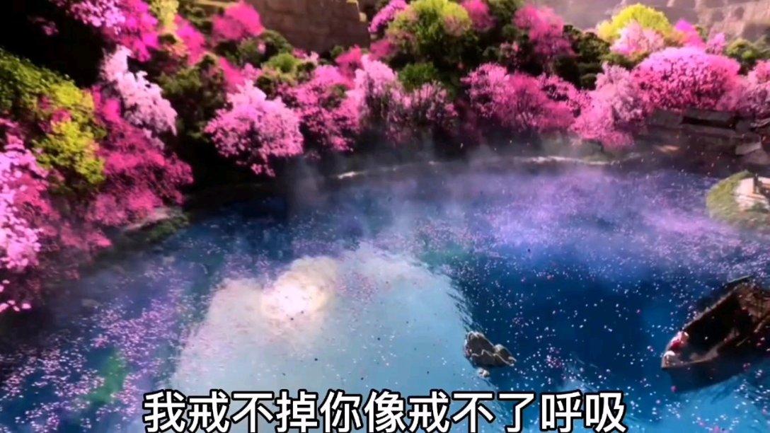 惊人冷知识,八爪鱼怎么煮才嫩脆带你震撼视听!